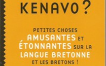 Comprendre le breton