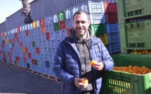 En Sicile, « les poules heureuses » produisent des oranges En Sicile, « les poules heureuses » produisent des oranges