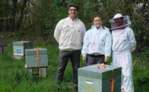 A Auray, l'abeille noire bientôt reine d'une miellerie partagée