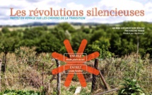 Les révolutions silencieuses (webdocumentaire)