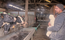 Ecoutez ce jeune paysan, vous boirez du p'tit lait Ecoutez ce jeune paysan, vous boirez du p'tit lait