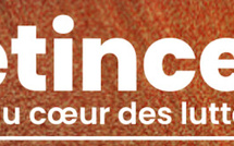 Avec "L'étincelle", Reporterre raconte l'écologie en action(s)