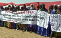 Accaparement des terres : la résistance des paysans africains (webdocumentaire)
