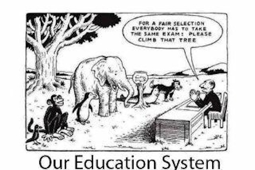 Même examen pour tout le monde au nom de l'égalité " Grimpez sur cet arbre ! " -  The LOLBRARY