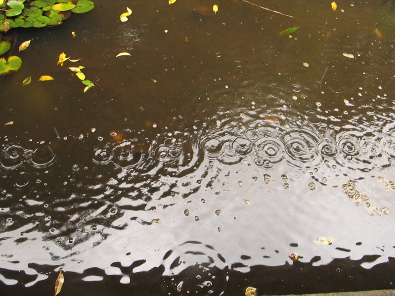 Le Bien et le Mal, oui mais... Le Bien et le Mal, oui mais...