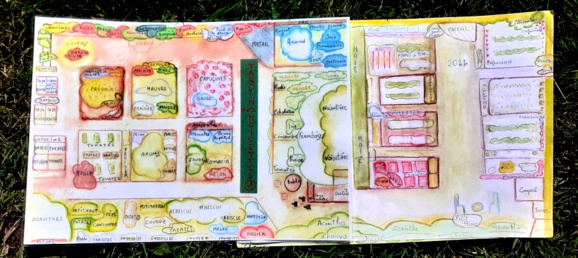 Presque toute la variété des plantations du "jardin des noisettes" sur ce dessin de Maryvonne.