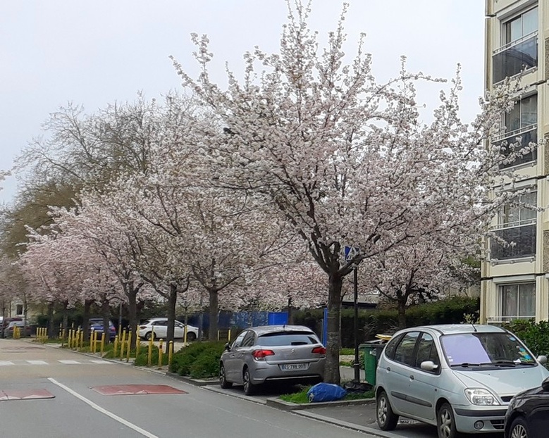 Rue du Bourbonnais, côté Bd d'Anjou. (avril 2023)