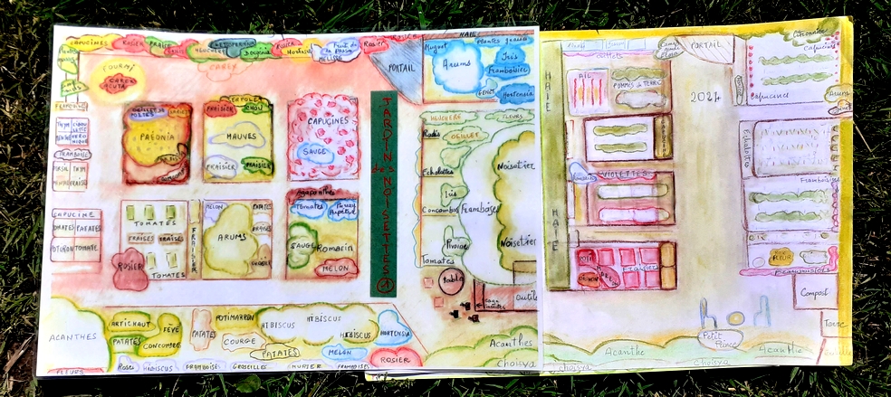 Presque toute la variété des plantations du "jardin des noisettes" sur ce dessin de Maryvonne.